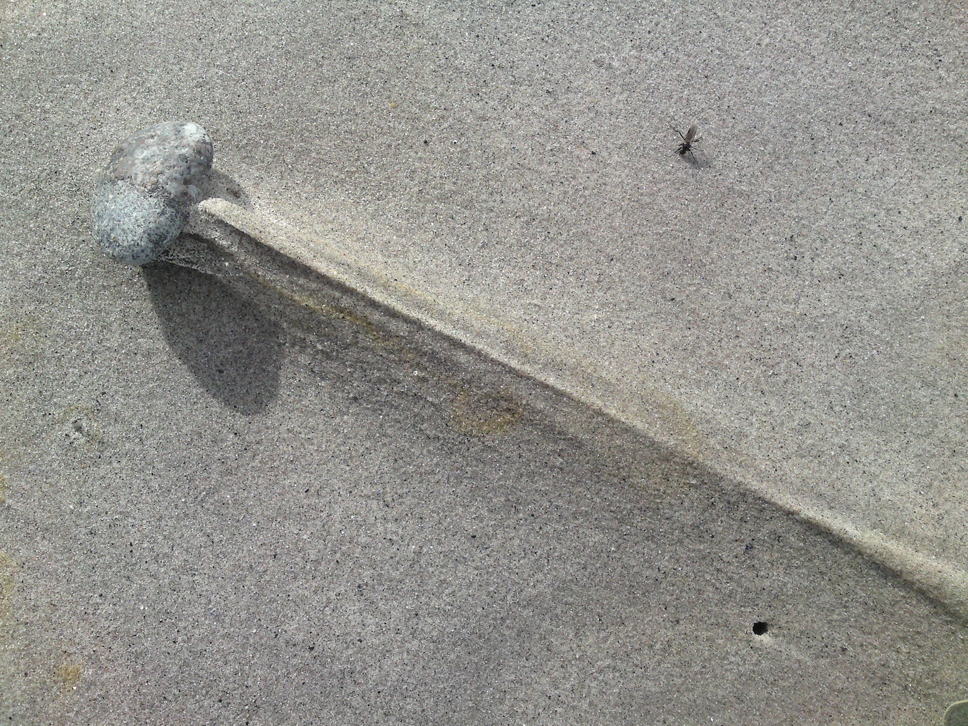 mer-06